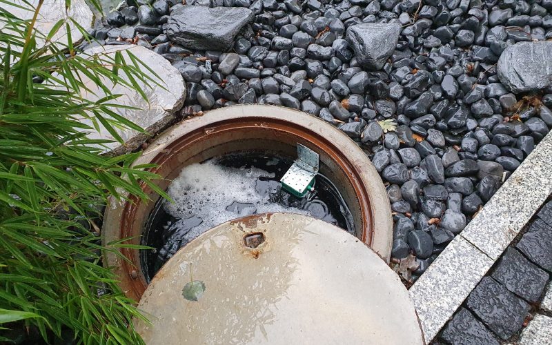 A close-up view of a water level sensor device submerged in a manhole with foamy water, surrounded by decorative stones and bamboo foliage